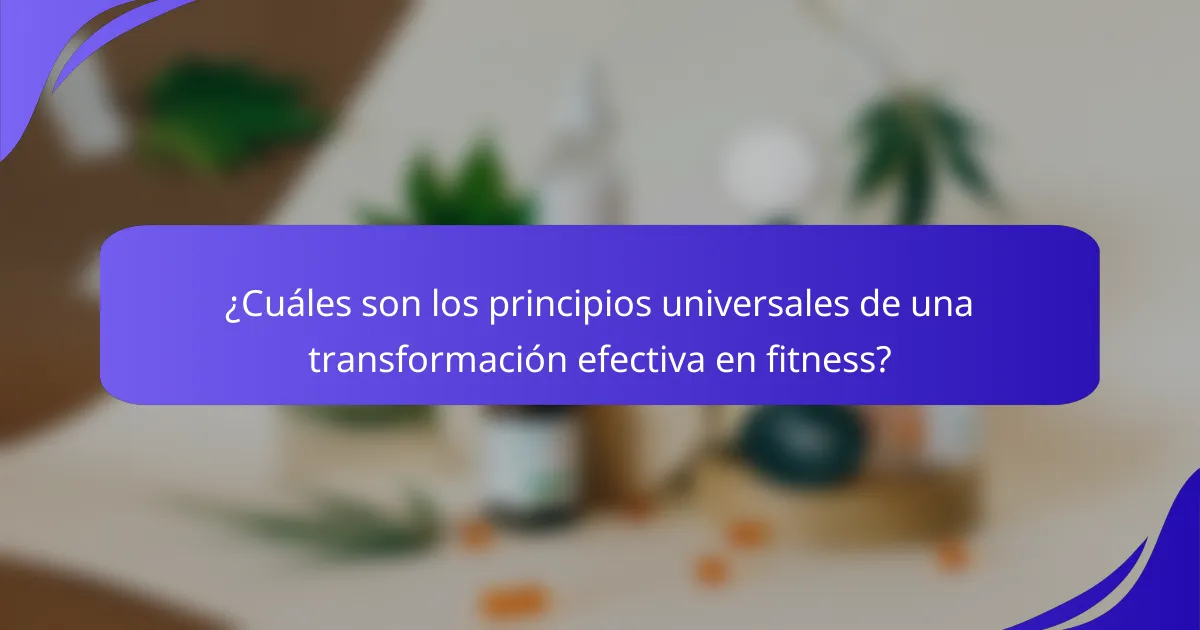 ¿Cuáles son los principios universales de una transformación efectiva en fitness?